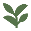 plants-herb-branch-leaves-g_updated_green.png