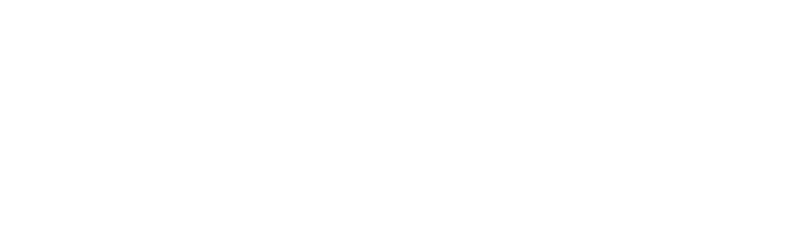Asset-45-1.png