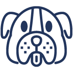 dog-1.png